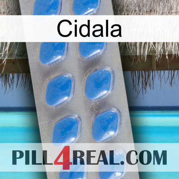 Cidala 22.jpg